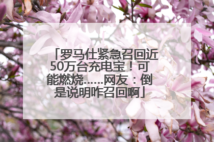 罗马仕紧急召回近50万台充电宝！可能燃烧……网友：倒是说明咋召回啊
