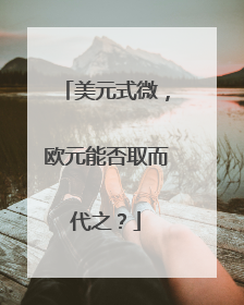 美元式微，欧元能否取而代之？