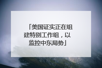 美国证实正在组建特别工作组，以监控中东局势
