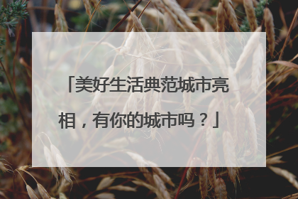 美好生活典范城市亮相，有你的城市吗？