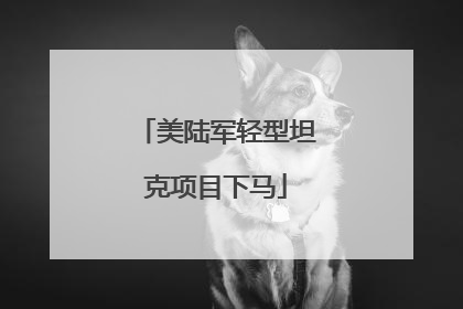 美陆军轻型坦克项目下马