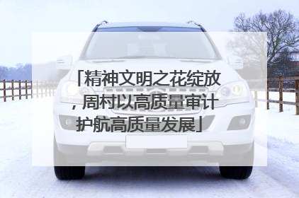 精神文明之花绽放，周村以高质量审计护航高质量发展
