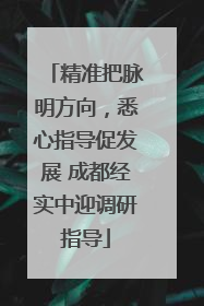 精准把脉明方向，悉心指导促发展 成都经实中迎调研指导