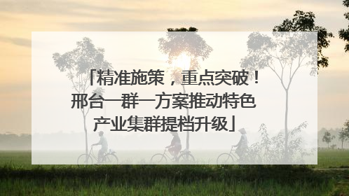精准施策，重点突破！邢台一群一方案推动特色产业集群提档升级