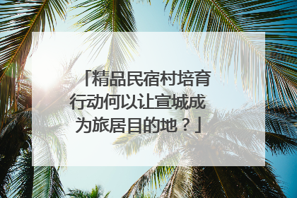 精品民宿村培育行动何以让宣城成为旅居目的地？