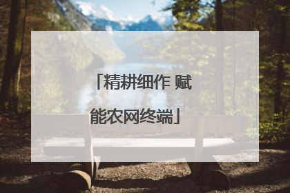 精耕细作 赋能农网终端