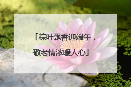 粽叶飘香迎端午，敬老情浓暖人心