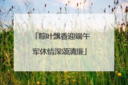 粽叶飘香迎端午 军休情深颂清廉