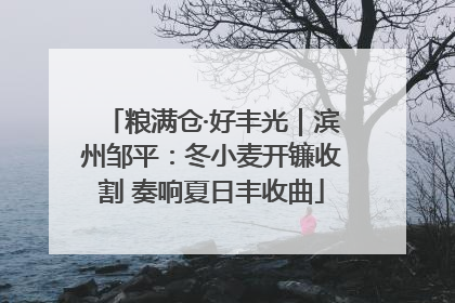 粮满仓·好丰光｜滨州邹平：冬小麦开镰收割 奏响夏日丰收曲