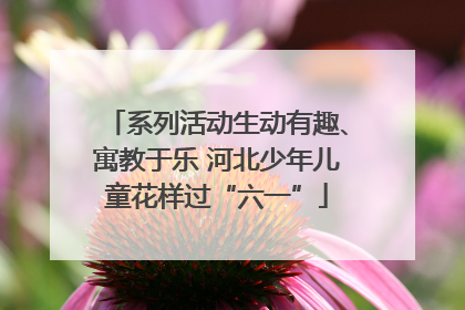 系列活动生动有趣、寓教于乐 河北少年儿童花样过“六一”