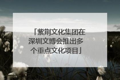 紫荆文化集团在深圳文博会推出多个重点文化项目