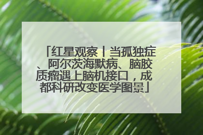 红星观察丨当孤独症、阿尔茨海默病、脑胶质瘤遇上脑机接口，成都科研改变医学图景