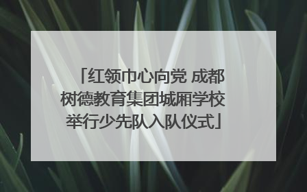 红领巾心向党 成都树德教育集团城厢学校举行少先队入队仪式
