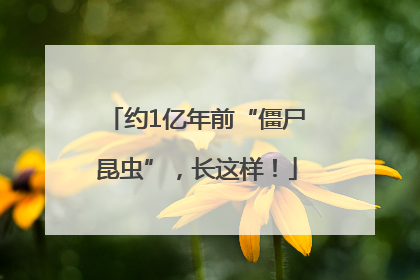 约1亿年前“僵尸昆虫”，长这样！