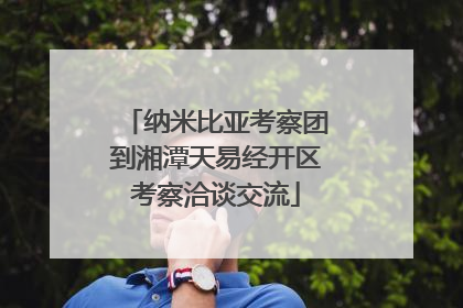 纳米比亚考察团到湘潭天易经开区考察洽谈交流