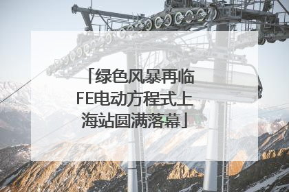 绿色风暴再临 FE电动方程式上海站圆满落幕