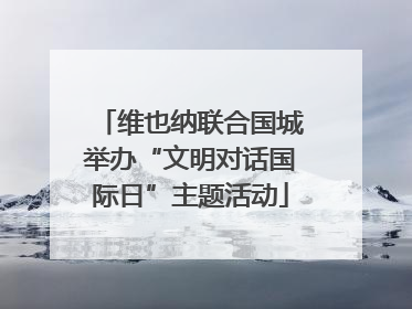 维也纳联合国城举办“文明对话国际日”主题活动