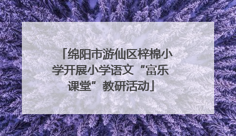 绵阳市游仙区梓棉小学开展小学语文“富乐课堂”教研活动