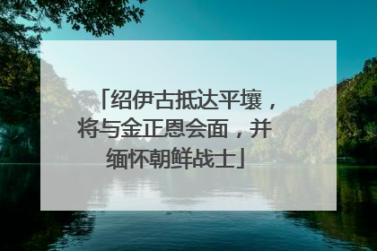 绍伊古抵达平壤，将与金正恩会面，并缅怀朝鲜战士