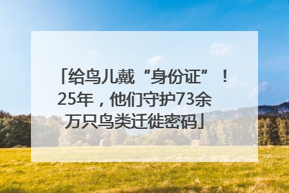 给鸟儿戴“身份证”！25年，他们守护73余万只鸟类迁徙密码