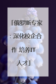 俄罗斯专家：深化校企合作 培养IT人才