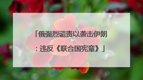 俄强烈谴责以袭击伊朗：违反《联合国宪章》
