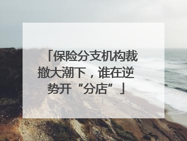 保险分支机构裁撤大潮下，谁在逆势开“分店”