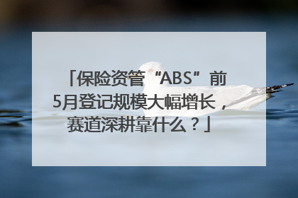 保险资管“ABS”前5月登记规模大幅增长，赛道深耕靠什么？