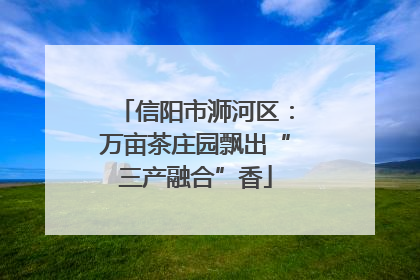 信阳市浉河区：万亩茶庄园飘出“三产融合”香