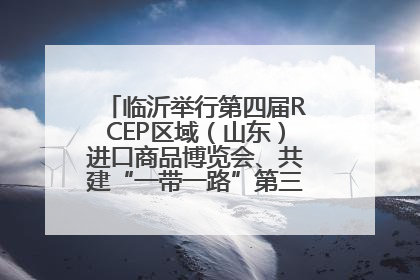 临沂举行第四届RCEP区域（山东）进口商品博览会、共建“一带一路”第三届临沂商城国际采购商大会新闻发布会