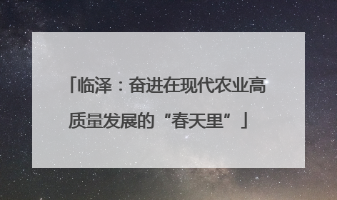 临泽：奋进在现代农业高质量发展的“春天里”