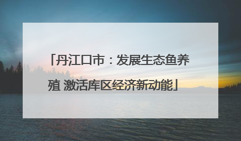 丹江口市：发展生态鱼养殖 激活库区经济新动能