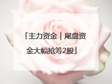 主力资金｜尾盘资金大幅抢筹2股