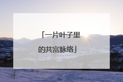 一片叶子里的共富脉络