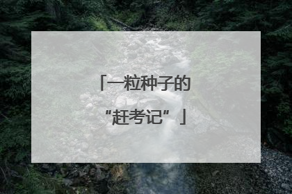 一粒种子的“赶考记”