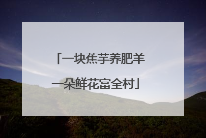 一块蕉芋养肥羊 一朵鲜花富全村