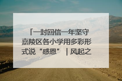 一封回信一年坚守 嘉陵区各小学用多彩形式说“感恩”｜风起之江 扶摇直上