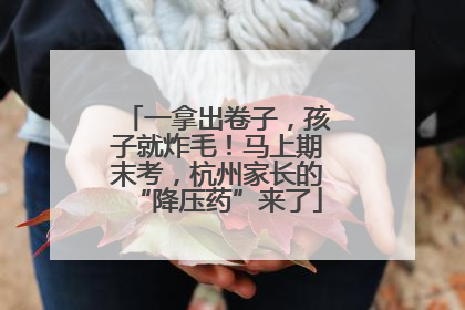 一拿出卷子，孩子就炸毛！马上期末考，杭州家长的“降压药”来了