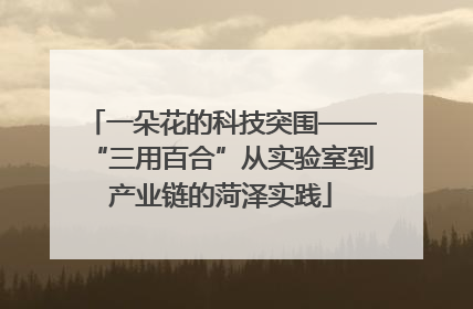 一朵花的科技突围——“三用百合”从实验室到产业链的菏泽实践