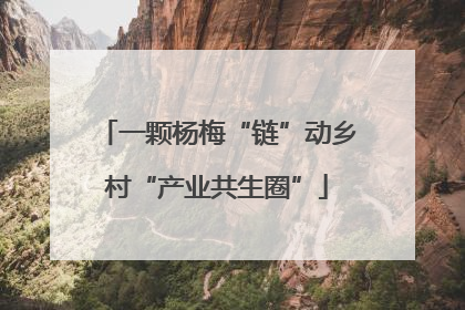 一颗杨梅“链”动乡村“产业共生圈”