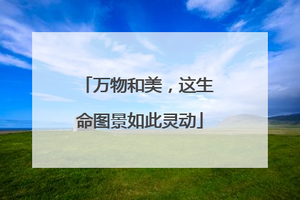 万物和美，这生命图景如此灵动