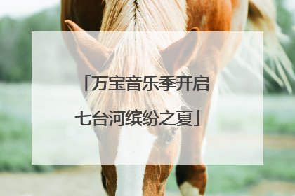 万宝音乐季开启七台河缤纷之夏