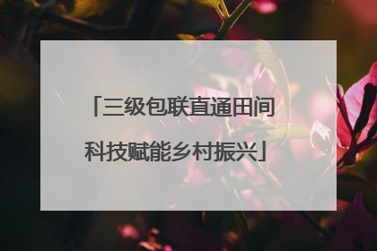 三级包联直通田间 科技赋能乡村振兴