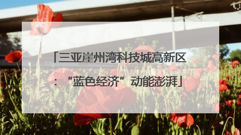 三亚崖州湾科技城高新区：“蓝色经济”动能澎湃