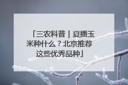 三农科普｜夏播玉米种什么？北京推荐这些优秀品种