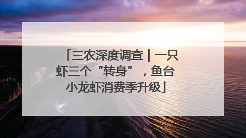 三农深度调查｜一只虾三个“转身”，鱼台小龙虾消费季升级