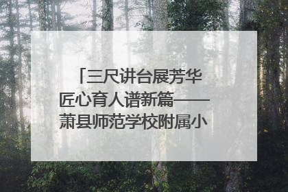 三尺讲台展芳华 匠心育人谱新篇——萧县师范学校附属小学第十三届班主任基本功大赛圆满举办