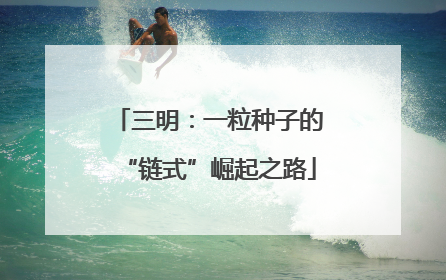 三明：一粒种子的“链式”崛起之路