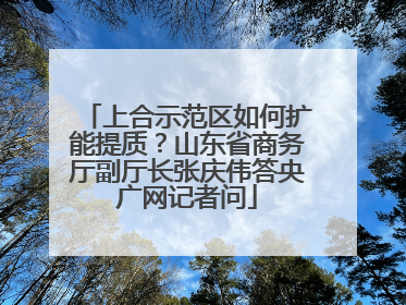 上合示范区如何扩能提质？山东省商务厅副厅长张庆伟答央广网记者问