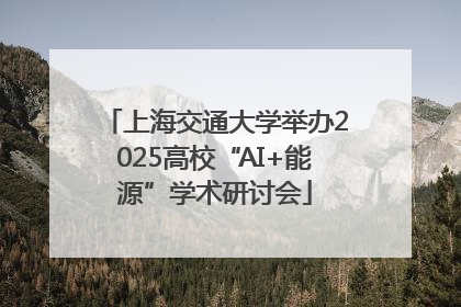 上海交通大学举办2025高校“AI+能源”学术研讨会